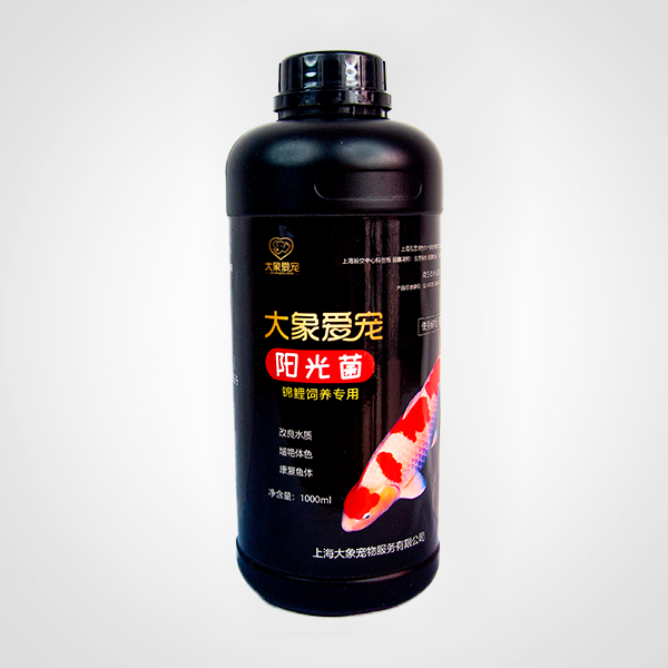 錦鯉-陽光菌（1000ml）